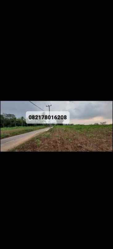 dijual tanah lampung tengah