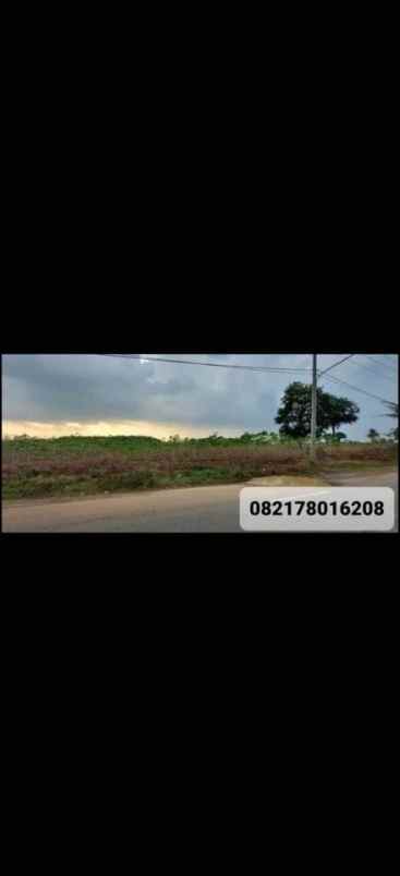 dijual tanah lampung tengah