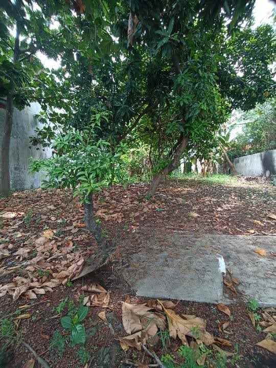 dijual tanah medokan