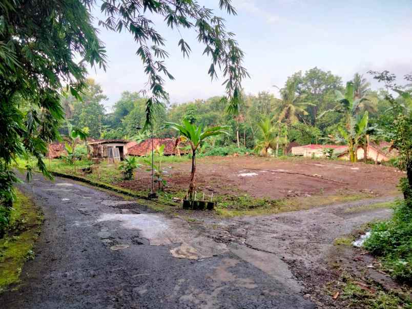 dijual tanah mergan sendangmulyo