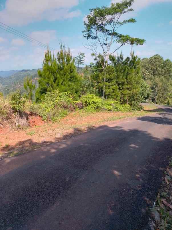 dijual tanah murah dan strategis pinggir jalan