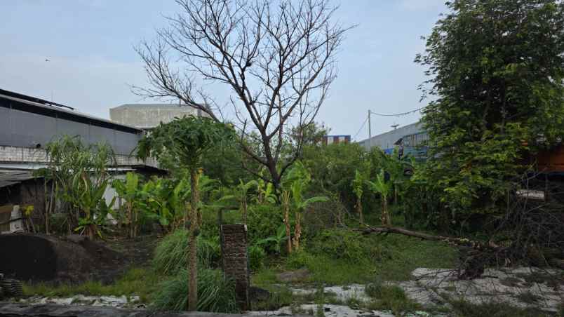 dijual tanah raya kedung cowek
