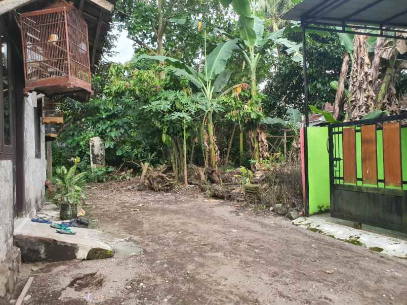 dijual tanah sardonoharjo kec ngaglik