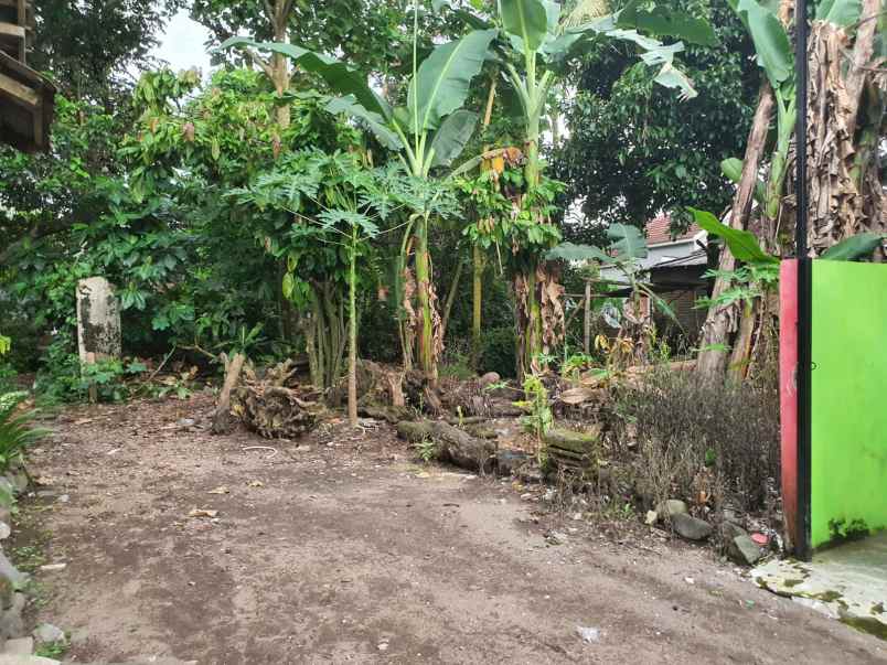 dijual tanah sardonoharjo kec ngaglik