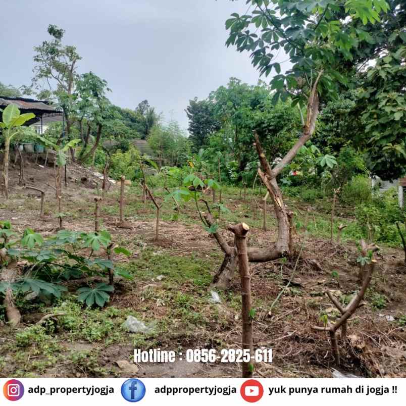 dijual tanah seturan caturtunggal depok