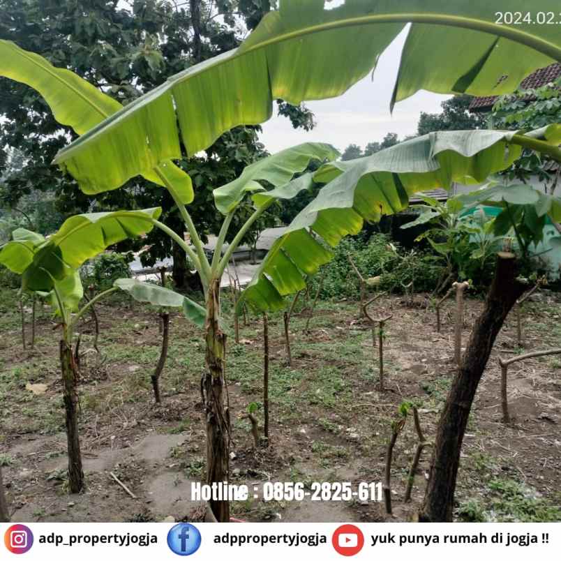 dijual tanah seturan caturtunggal depok