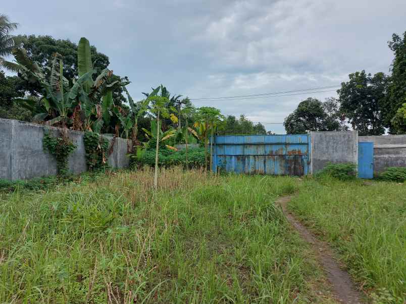 dijual tanah sialang muda