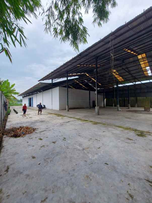 dijual tanah sialang muda