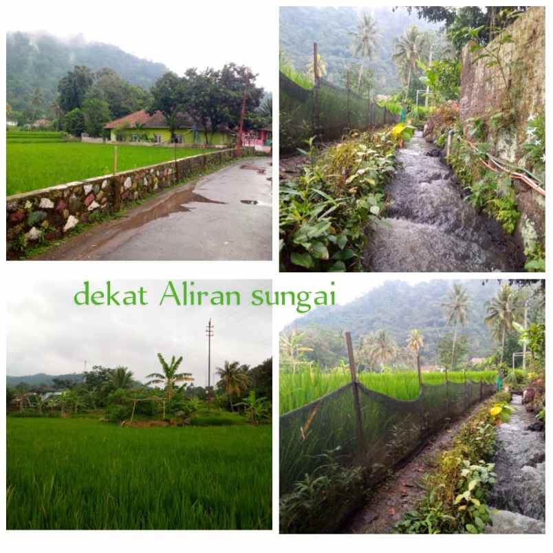 dijual tanah subang