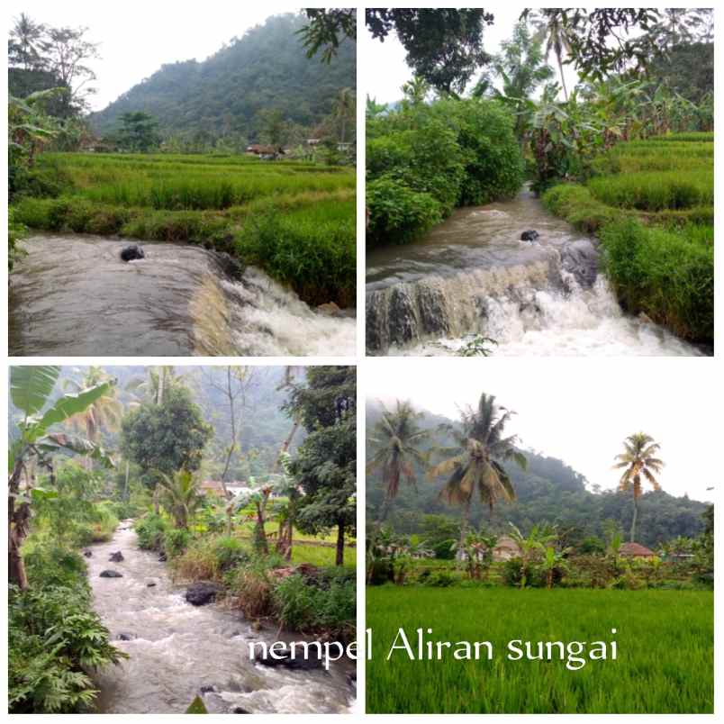 dijual tanah subang