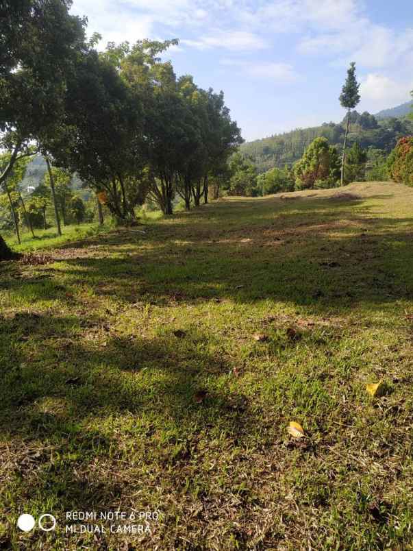 dijual tanah tajurhalang kaki gunung salak