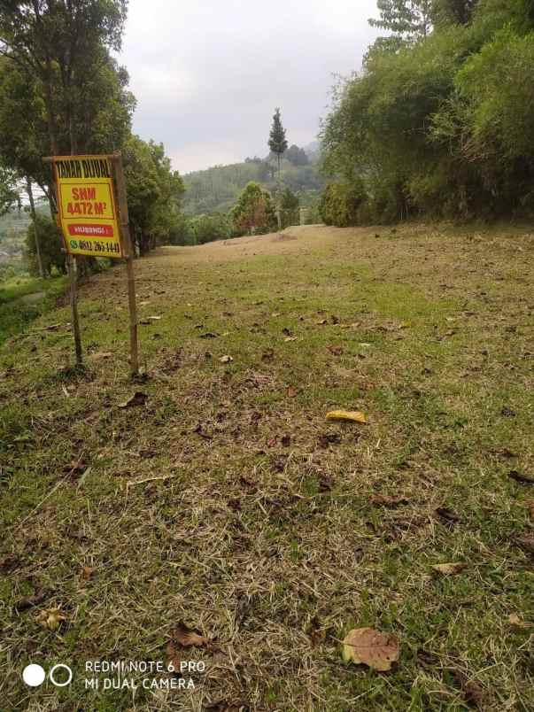 dijual tanah tajurhalang kaki gunung salak