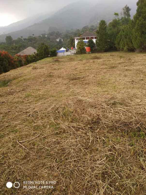 dijual tanah tajurhalang kaki gunung salak