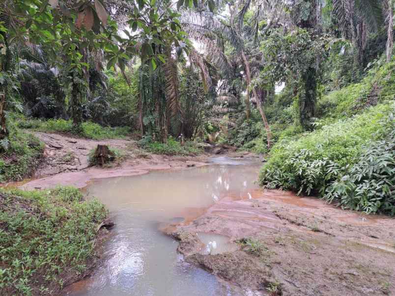 dijual tanah talun kenas