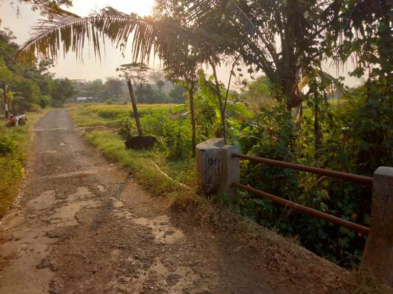 dijual tanah tenjo layar dkt sindang