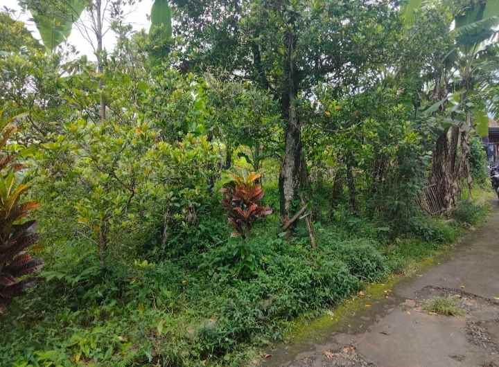 dijual tanah view gunung strategis pinggir jalan