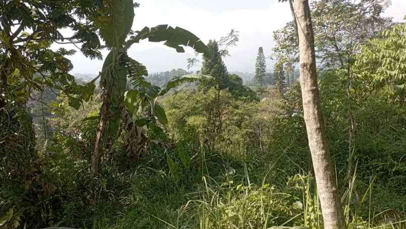 dijual villa cisarua