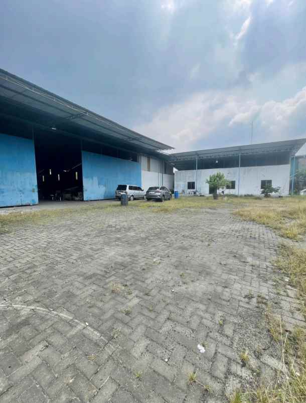 disewakan gudang area binjai sri gunting