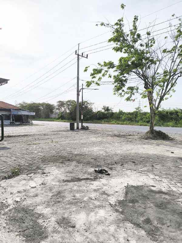 disewakan gudang siap pakai romokalisari surabaya