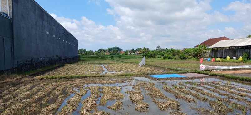 disewakan tanah 18 are area mengwi badung bali