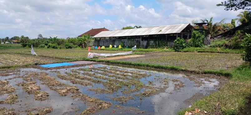 disewakan tanah 18 are area mengwi badung bali