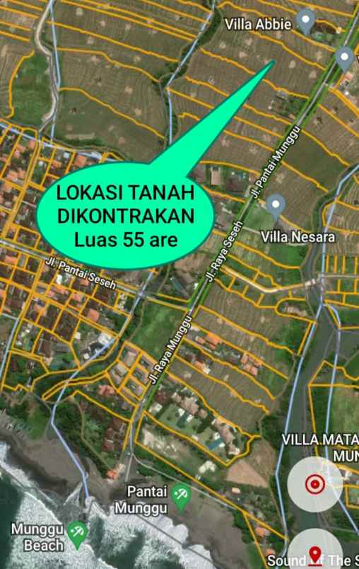 disewakan tanah pantai seseh munggu