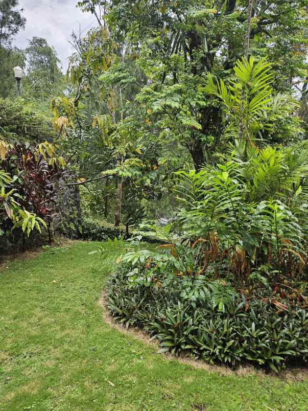 grand trawas intiland mojokerto