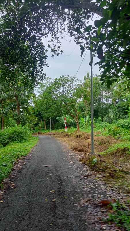 jual cepat tanah 25juta 14 bata pinggir jalan utama