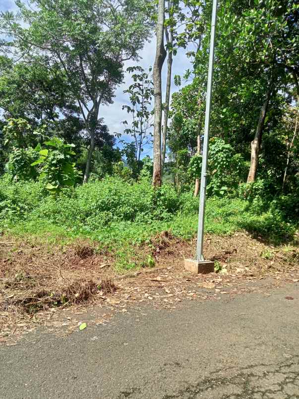 jual cepat tanah 25juta 14 bata pinggir jalan utama