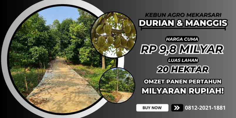 jual kebun durian di bogor