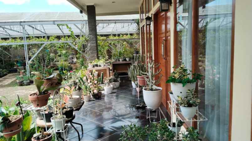 jual rumah luas view lembah di ciumbuleuit bandung