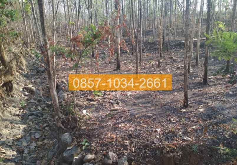 jual tanah 710m2 masaran sragen jawa tengah 5a0cab