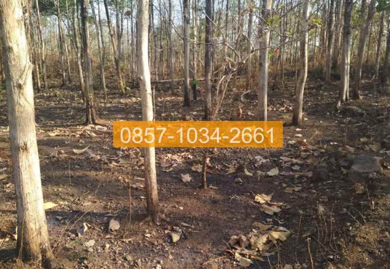 jual tanah 710m2 masaran sragen jawa tengah 5a0cab