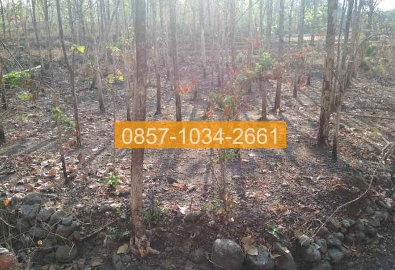 jual tanah 710m2 masaran sragen jawa tengah 5a0cab