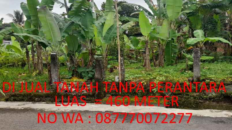 jual tanah komplek btn ciampea asri