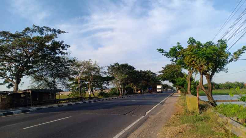 jual tanah sawah pinggir jalan raya pantura