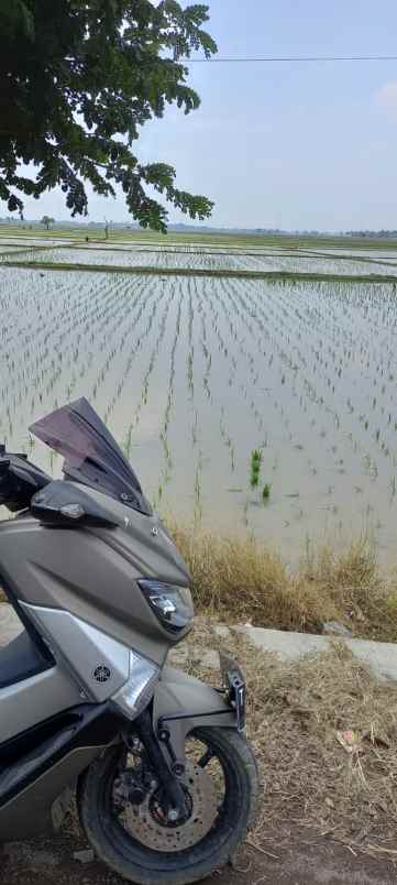 jual tanah sawah pinggir jalan raya pantura