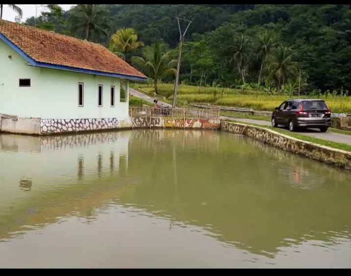 jual vila dan kolam ikan cisalak subang jawa barat