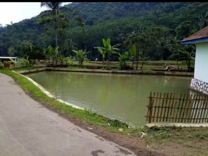 jual vila dan kolam ikan cisalak subang jawa barat