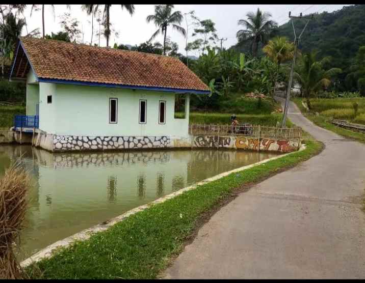 jual vila dan kolam ikan cisalak subang jawa barat