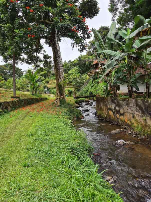 lokasi tanah di mega mendung bogor