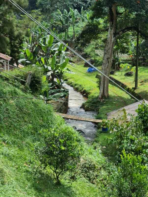 lokasi tanah di mega mendung bogor