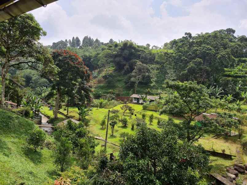 lokasi tanah di mega mendung bogor