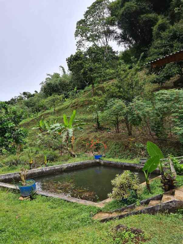 lokasi tanah di mega mendung bogor