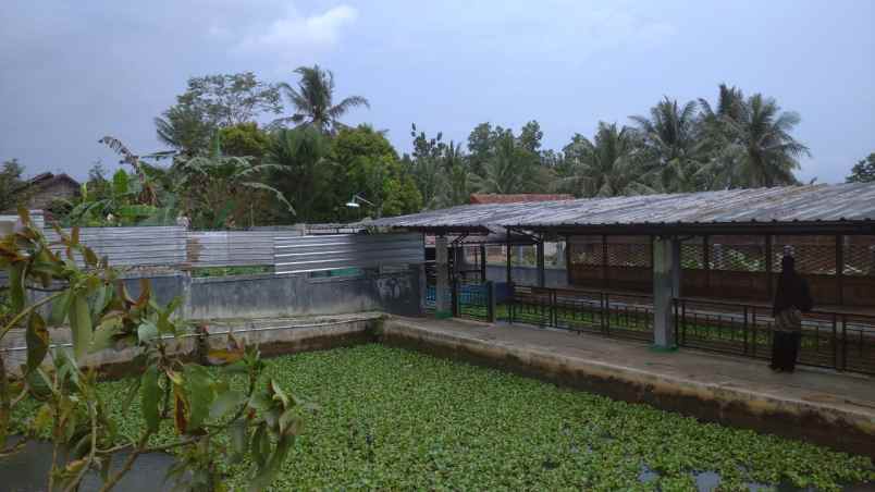 ruko gudang kantor karangsalam kidul