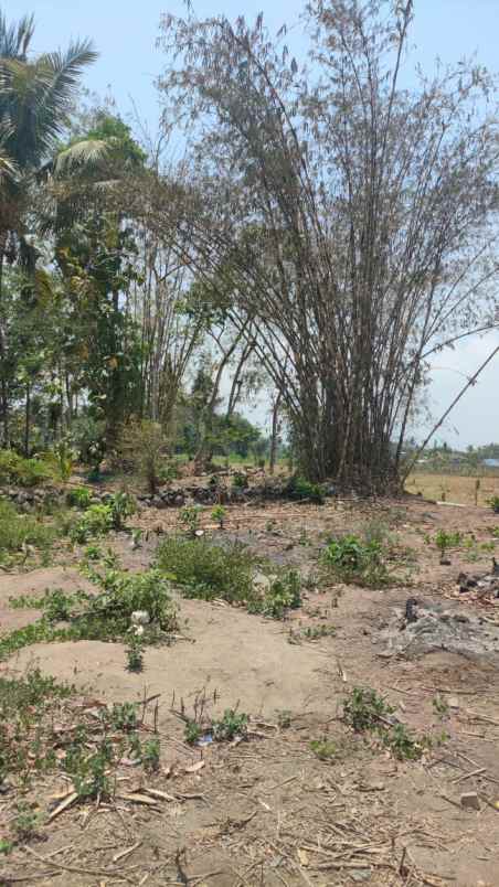 rumah asri pesan bangun di timur pasar jangkang