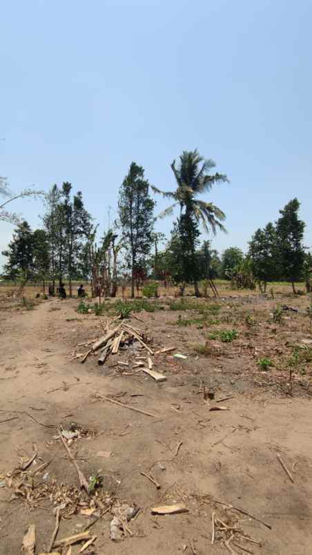 rumah asri pesan bangun di timur pasar jangkang