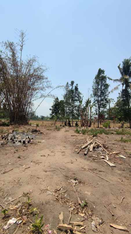 rumah asri pesan bangun di timur pasar jangkang