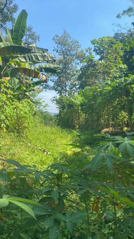 rumah dengan harga terjangkau di semarang