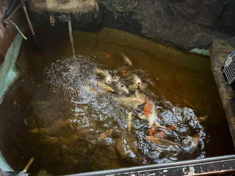 rumah di cibiru raya cibiru wetan cileunyi